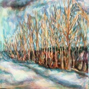 Winter Willows